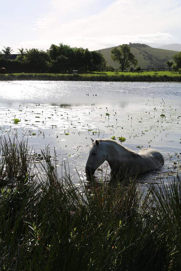 Hakuna Matata Game Farm Great Brak River Esterno foto