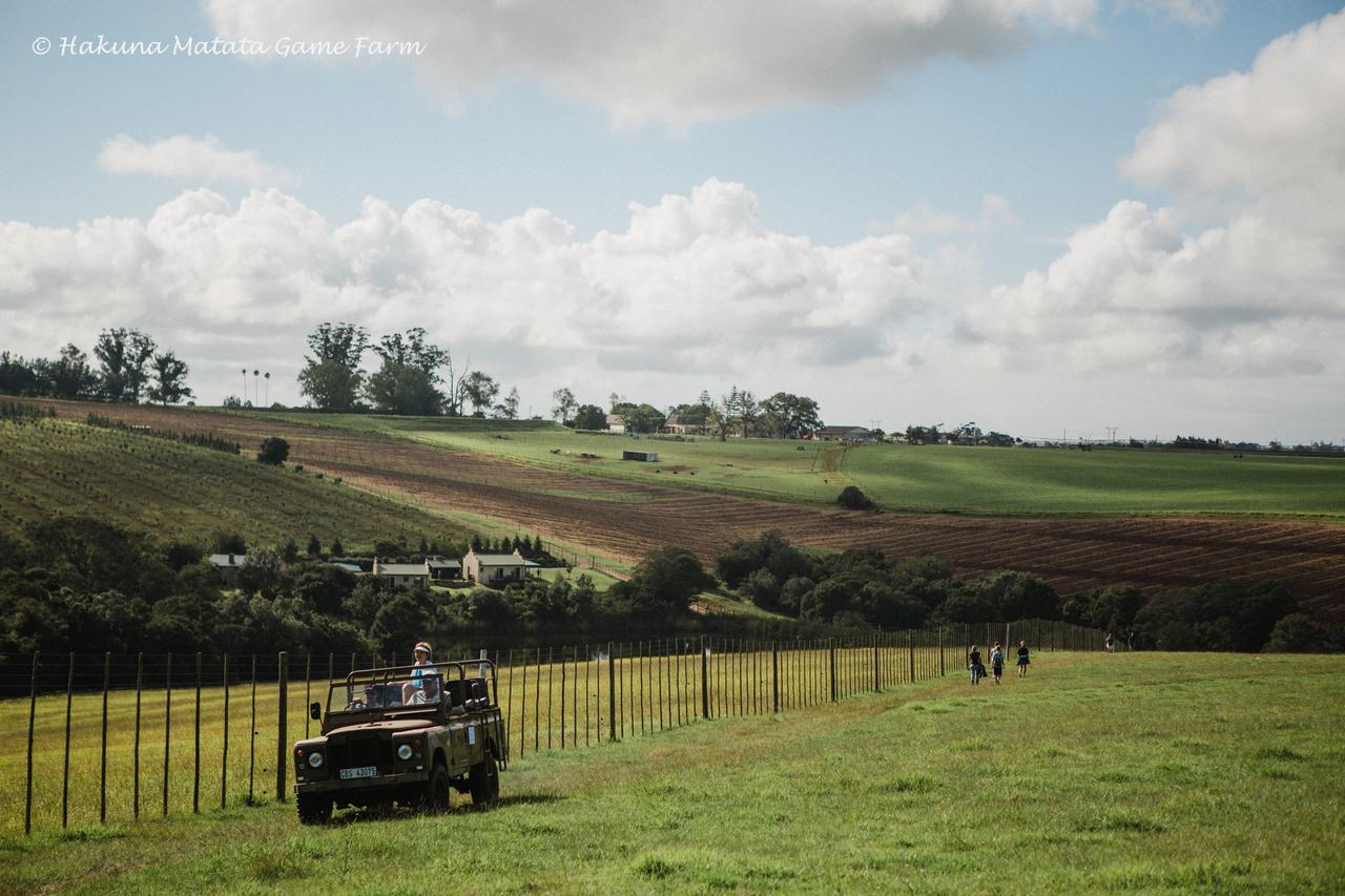 Hakuna Matata Game Farm Great Brak River Esterno foto