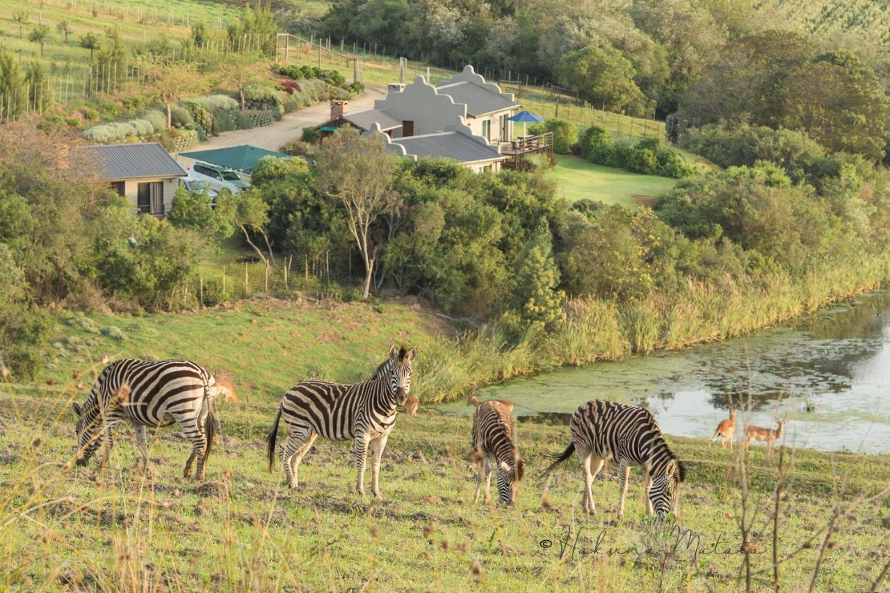 Hakuna Matata Game Farm Great Brak River Esterno foto